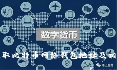 如何获取比特币网络钱包地址及相关信息
