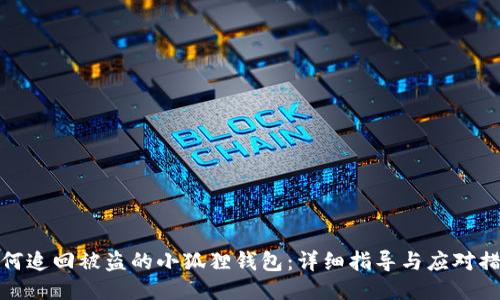 如何追回被盗的小狐狸钱包：详细指导与应对措施