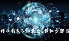 怎样把比特币钱包BCH卖出