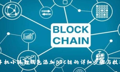 手机小狐狸钱包添加BSC链的详细步骤与技巧