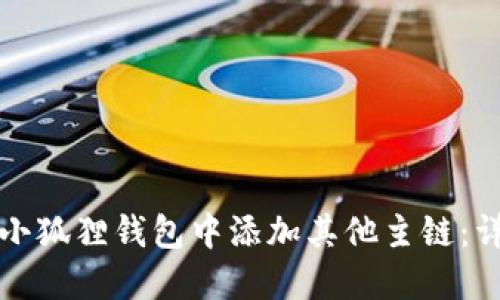 如何在小狐狸钱包中添加其他主链:详细指南