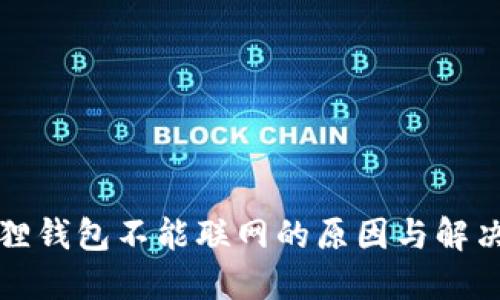 小狐狸钱包不能联网的原因与解决方案