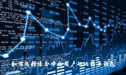 如何选择适合中文用户的比特币钱包