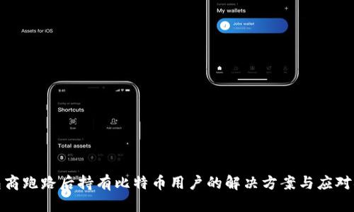 钱包商跑路后持有比特币用户的解决方案与应对措施