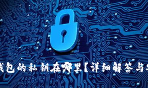 小狐狸钱包的私钥在哪里?详细解答与安全指南
