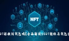 USDT能提到钱包吗？全面解