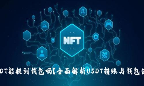 USDT能提到钱包吗?全面解析USDT转账与钱包使用