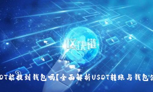 USDT能提到钱包吗?全面解析USDT转账与钱包使用