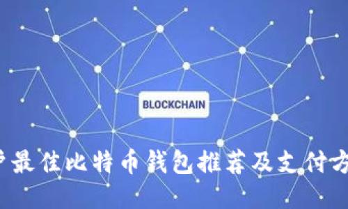 iOS用户最佳比特币钱包推荐及支付方式指南