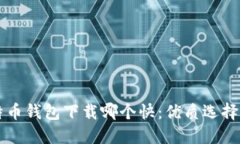 比特币钱包下载哪个快：