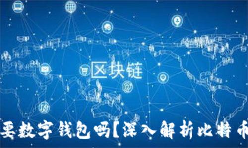   
比特币需要数字钱包吗？深入解析比特币存储方式