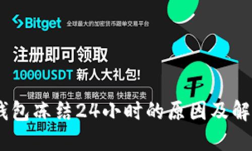 USDT钱包冻结24小时的原因及解决办法
