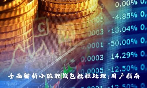 全面解析小狐狸钱包数据处理:用户指南