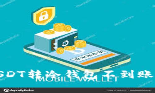 如何解决USDT转冷钱包不到账的常见问题