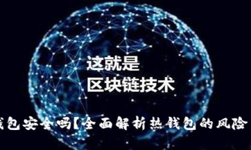 比特币热钱包安全吗？全面解析热钱包的风险与安全防护