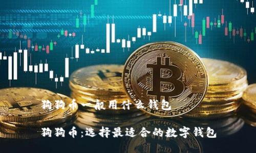 狗狗币一般用什么钱包

狗狗币：选择最适合的数字钱包