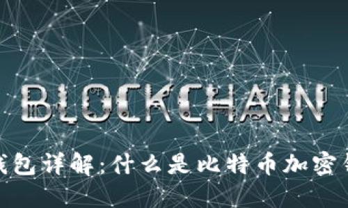 : 比特币加密钱包详解：什么是比特币加密钱包及如何选择