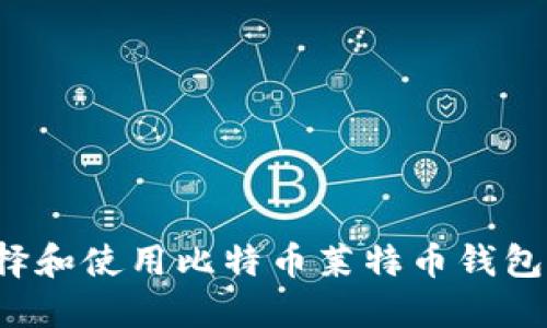 : 如何选择和使用比特币莱特币钱包：全面指南