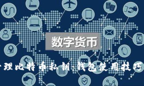 如何安全管理比特币私钥:钱包使用技巧与最佳实践