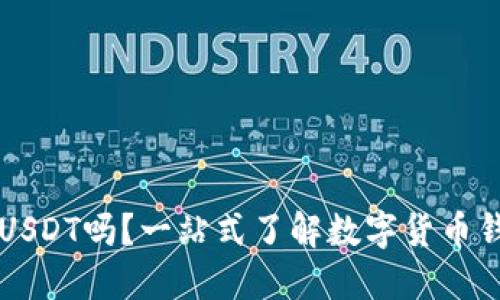 小狐狸钱包支持USDT吗？一站式了解数字货币钱包的选择与使用