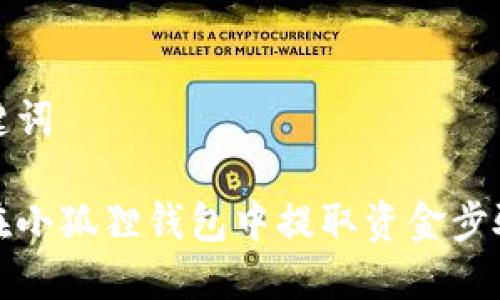 和关键词

如何在小狐狸钱包中提取资金步骤详解