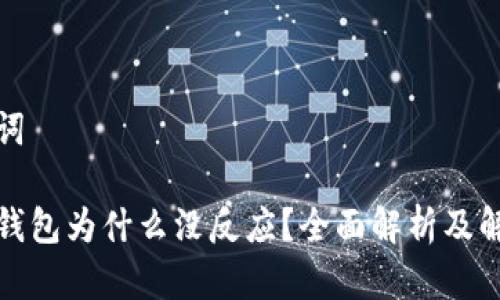 和关键词

小狐狸钱包为什么没反应？全面解析及解决方案
