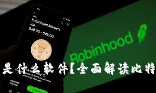 比特币钱包是什么软件?全面解读比特币数字钱包