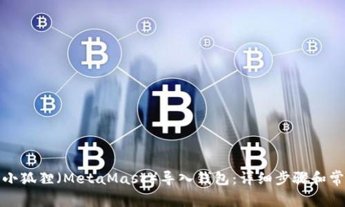 如何将小狐狸(MetaMask)导入钱包:详细步骤和常见问题