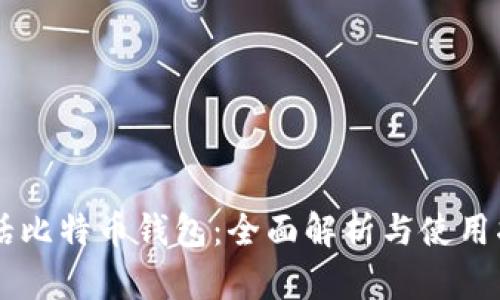 白话比特币钱包：全面解析与使用指南