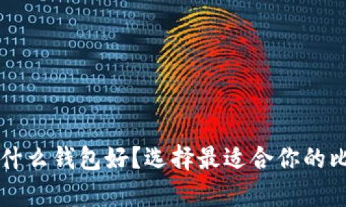 比特币存放在什么钱包好？选择最适合你的比特币钱包指南