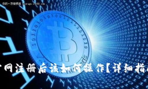 MetaMask官网注册后该如何操作？详细指南与问题解析