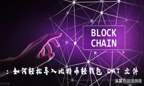 : 如何轻松导入比特币轻钱包 DAT 文件