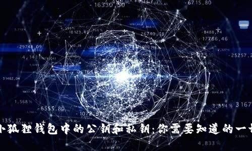小狐狸钱包中的公钥和私钥：你需要知道的一切