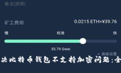 如何解决比特币钱包不支