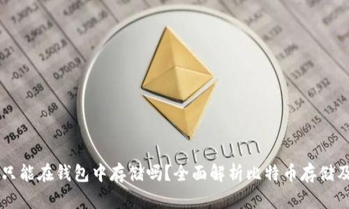 比特币只能在钱包中存储吗？全面解析比特币存储及其应用