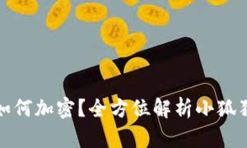 小狐狸钱包如何加密？全方位解析小狐狸钱包安全性
