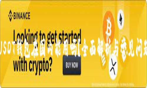 USDT钱包在国内能用吗？全面解析与常见问题