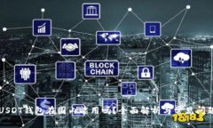 USDT钱包在国内能用吗？全