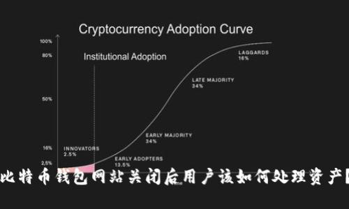 比特币钱包网站关闭后用户该如何处理资产？