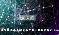 如何在苹果设备上安装和