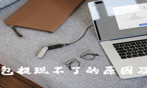 比特币钱包提现不了的原因及解决方法