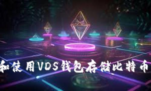 如何选择和使用VDS钱包存储比特币:全面指南