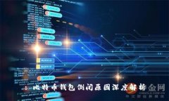 : 比特币钱包倒闭原因深度