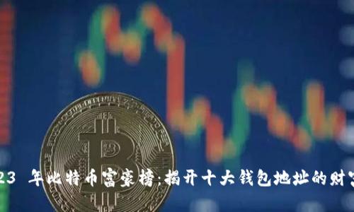 : 2023 年比特币富豪榜：揭开十大钱包地址的财富秘密