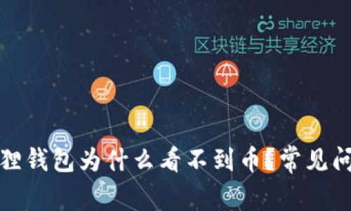 : 小狐狸钱包为什么看不到币？常见问题解析