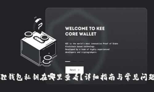 小狐狸钱包私钥在哪里查看？详细指南与常见问题解答