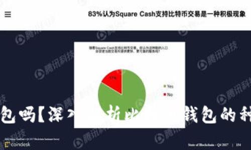 比特币能放钱包吗？深入解析比特币钱包的种类与使用方法