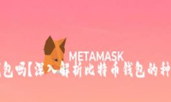 比特币能放钱包吗？深入