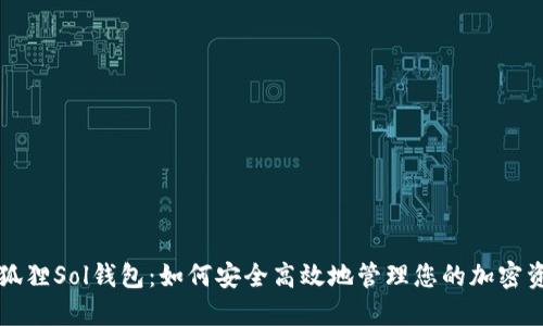 小狐狸Sol钱包：如何安全高效地管理您的加密资产