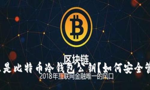 什么是比特币冷钱包公钥？如何安全管理？